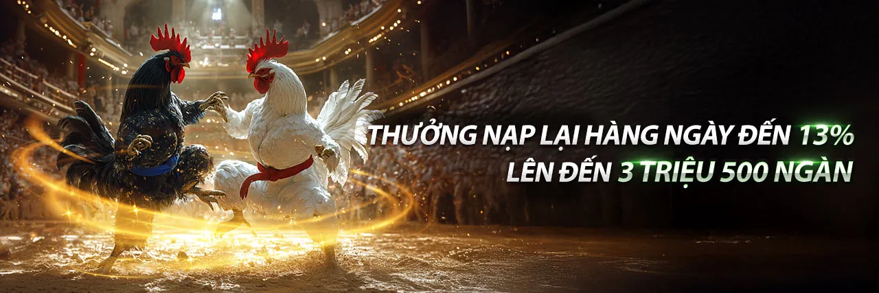 Đá Gà Trực Tuyến i9bet141 code